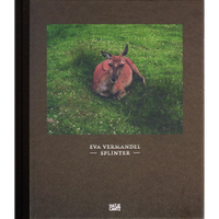 The dark brown cover of the book Splinter by Eva Vermandel. A central photograph shows a red kangaroo resting in a vibrant green, grassy field, looking directly at the camera. Below the image is the title and author's name, with the publisher Hatje Cantz's logo at the bottom.
