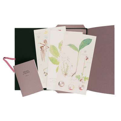 Cover Hilma af Klint. Flora