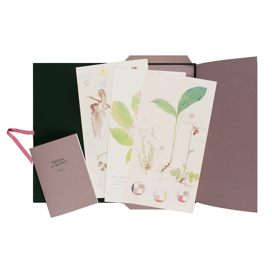 Coverbild Hilma af Klint. Flora