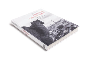 A white hardcover book, Städtebau des Erinnerns by Wolfgang Pehnt, shown at an angle on a white surface. The cover features a black-and-white photo of a stone gargoyle looking out over a cityscape, with the title printed in red text.