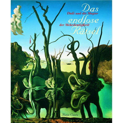 Cover Das endlose Rätsel