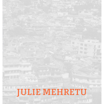 Cover Julie Mehretu