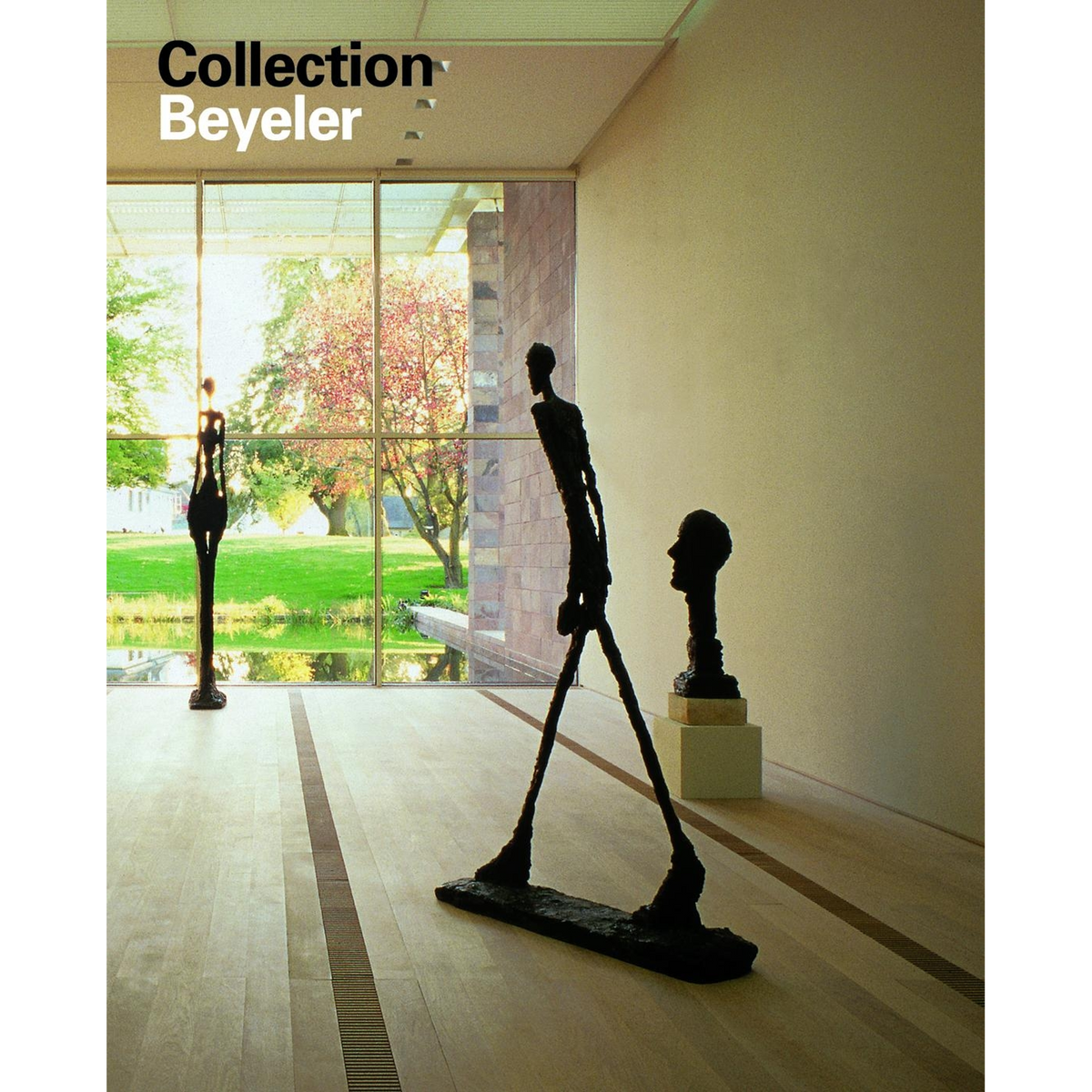 Coverbild Collection Beyeler