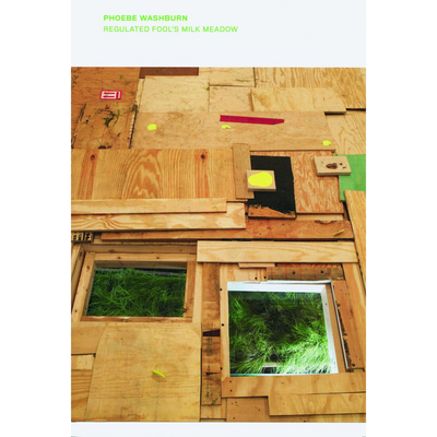 Cover Phoebe Washburn