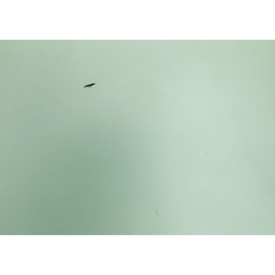 Cover Felix Gonzalez-Torres