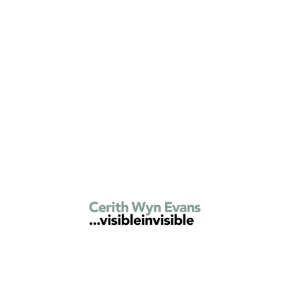 Cover Cerith Wyn Evans