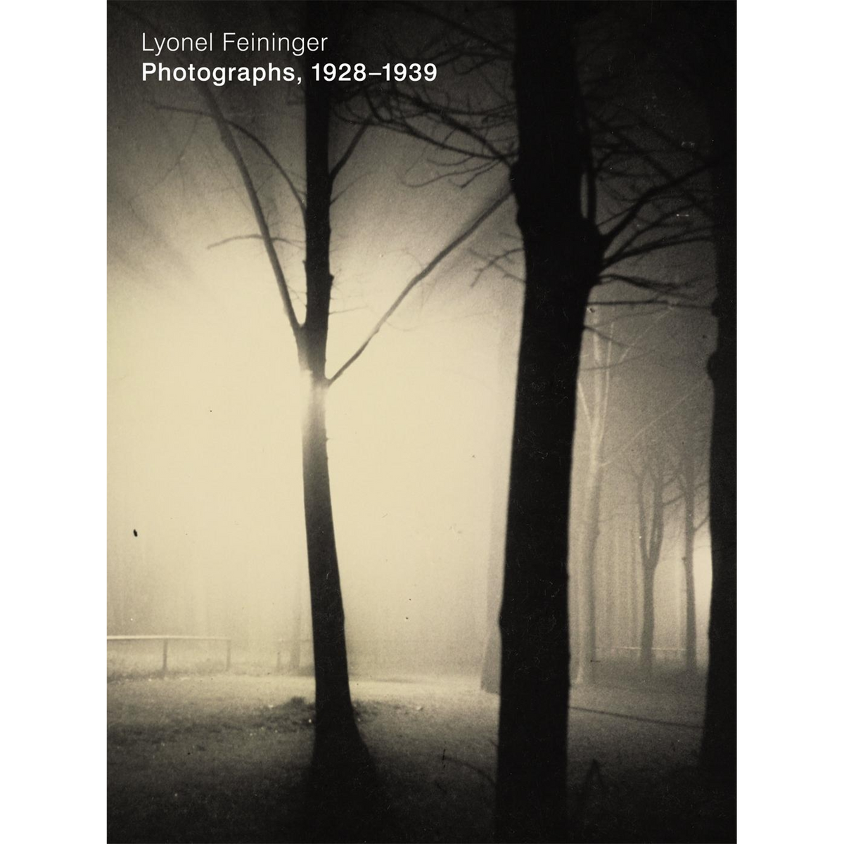 Coverbild Lyonel Feininger