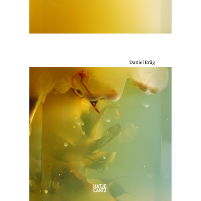 Cover Daniel Bräg