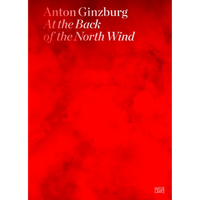 The cover of the book At the Back of the North Wind by Anton Ginzburg, featuring white serif text against a vibrant, textured red background.