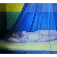 A grainy, colorful photograph of a person lying on a bed under a sheer blue mosquito net.