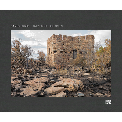 Cover David Lurie