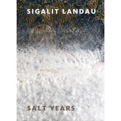 Cover Sigalit Landau