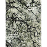 A low-angle photograph of thick, gnarled tree branches against a pale, textured background on the book cover for Time Is No Longer Round by Santeri Tuori.