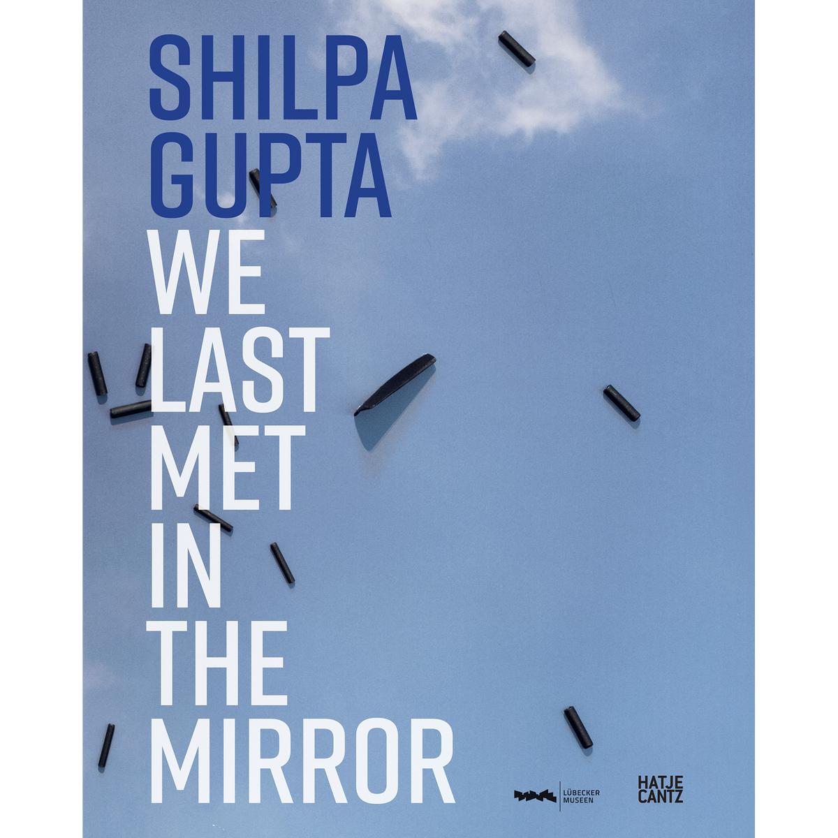Coverbild Shilpa Gupta. we last met in the mirror