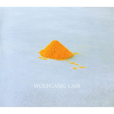 Cover Wolfgang Laib