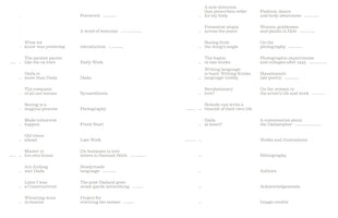 Raoul Hausmann (1886-1971). Vision. Provocation. Dada.