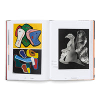 Raoul Hausmann (1886-1971). Vision. Provocation. Dada.