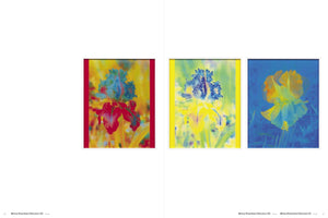 Lisa Oppenheim: The Eternal Substitute