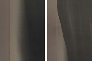 Lisa Oppenheim: The Eternal Substitute