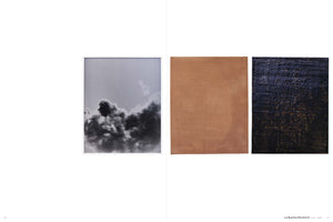 Lisa Oppenheim: The Eternal Substitute