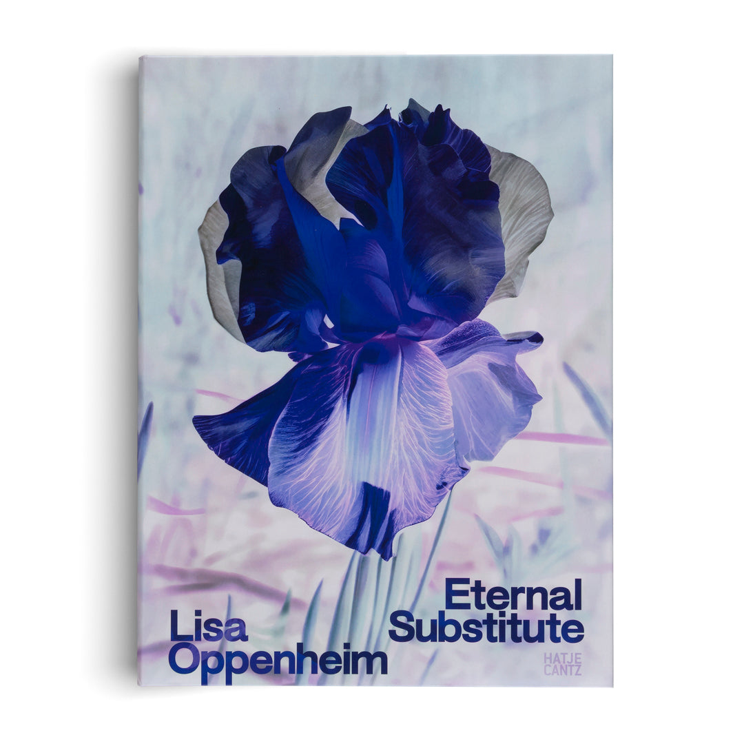 Lisa Oppenheim: The Eternal Substitute - Hatje Cantz