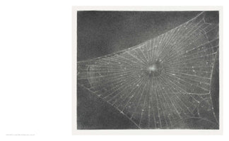 A photorealistic charcoal drawing on paper of an intricate spiderweb. The web is shown from an angled perspective, its delicate, glowing threads creating a dense pattern of radial and spiral lines. The web stands out in bright contrast against a dark, grainy, and textured background, giving the artwork a dramatic, monochromatic feel.