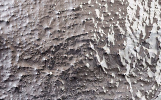 Lake Verea: Modern Barragán