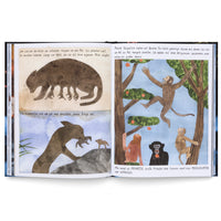 An open children's book with German text and illustrations depicting the evolution of mammals. The left page shows a primitive, multi-legged furry creature, and below it, an early mammal carrying its young. The right page illustrates various primates, including monkeys and an ape, in trees.
