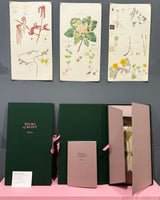 Hilma af Klint. Flora