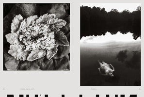 femxphotographers.org