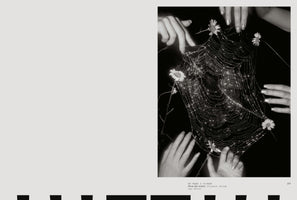 femxphotographers.org