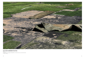 Rolf Walz. Blind Spot Bias