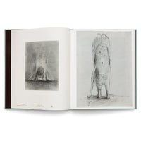 Leiko Ikemura. Motherscape