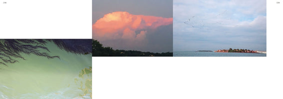 A book spread displaying a triptych of nature photographs. On the left, dark, feathery seaweed dangles into murky, greenish water. In the center, a large, fluffy cloud is lit with pink and orange light over a silhouetted treeline at dusk. On the right, a large flock of birds flies in formation over the sea towards a distant island.