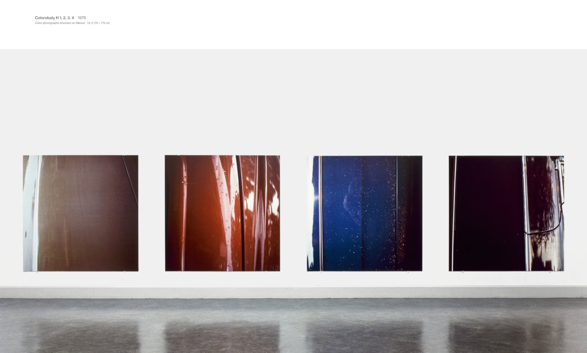 【希少】 Jan Dibbets　ヤン・ディベッツ コンセプチャルアート Jan Dibbets | Artnet Jan Dibbets ヤン・ディベッツ